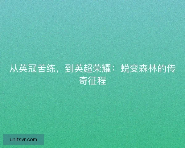 从英冠苦练，到英超荣耀：蜕变森林的传奇征程